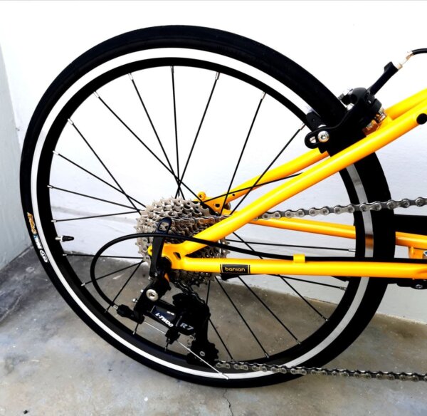 BANIAN Foldable R20 Speed (EXPORT Model) - Image 14