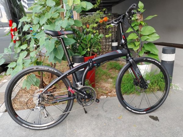 TERN Foldable Eclipse P20 (EXPORT)