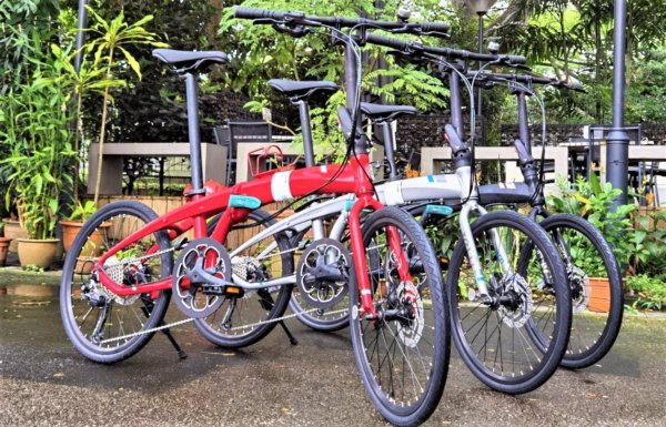 TERN Foldable Verge D9 (EXPORT)