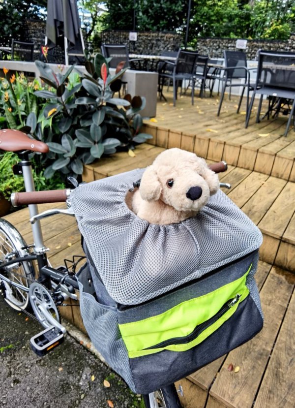 ACC - Front Pet Carrier 2.0 - Image 2