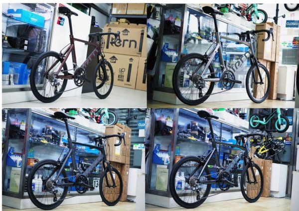 TERN Surge Maxivelo (EXPORT) Clearance