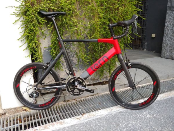 TERN Surge PRO (EXPORT) Clearance - Image 4